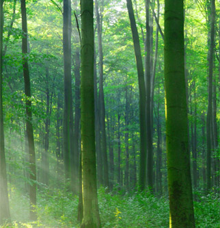 97国际-至尊品牌,源于诺言