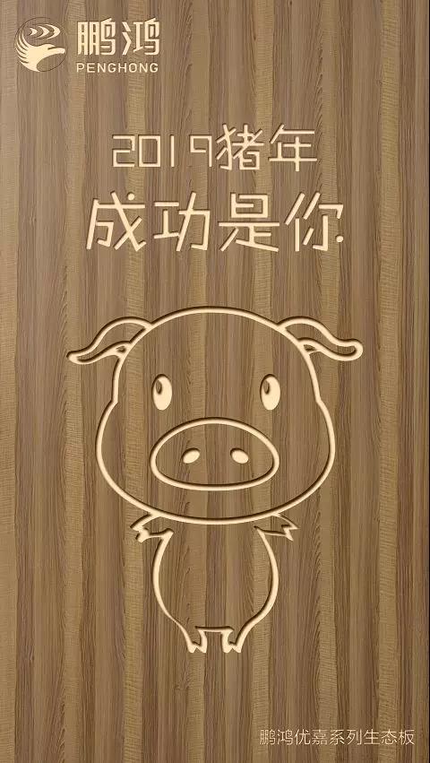 97国际优嘉系列生态板