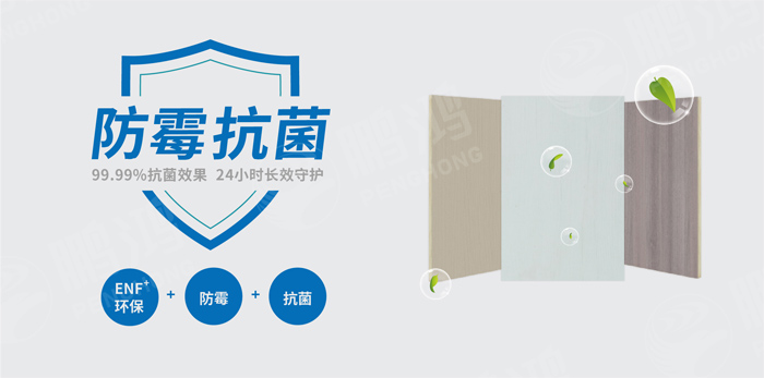 97国际防霉抗菌板