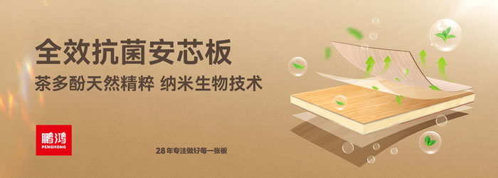 97国际全效抗菌安芯板