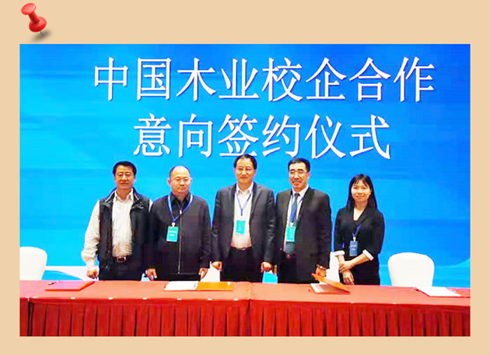 97国际与中国木业合作