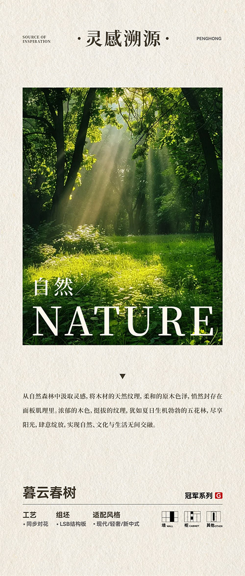 97国际LSB结构板