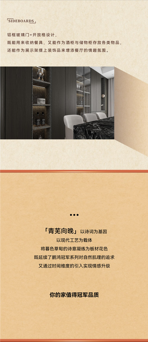 轻奢酒柜柜门设计