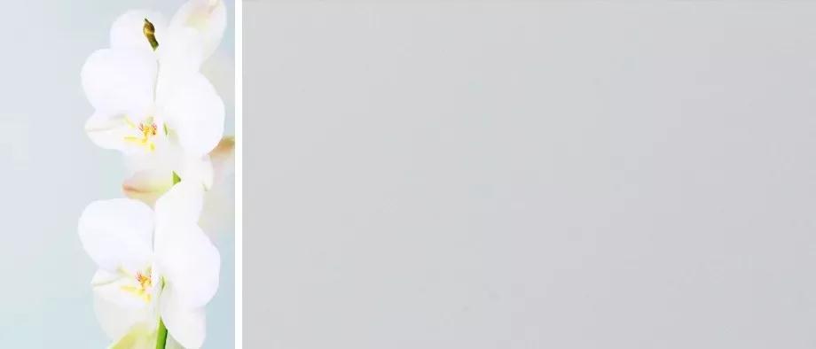 97国际-至尊品牌,源于诺言