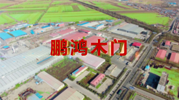 97国际产品纪录片之木门篇